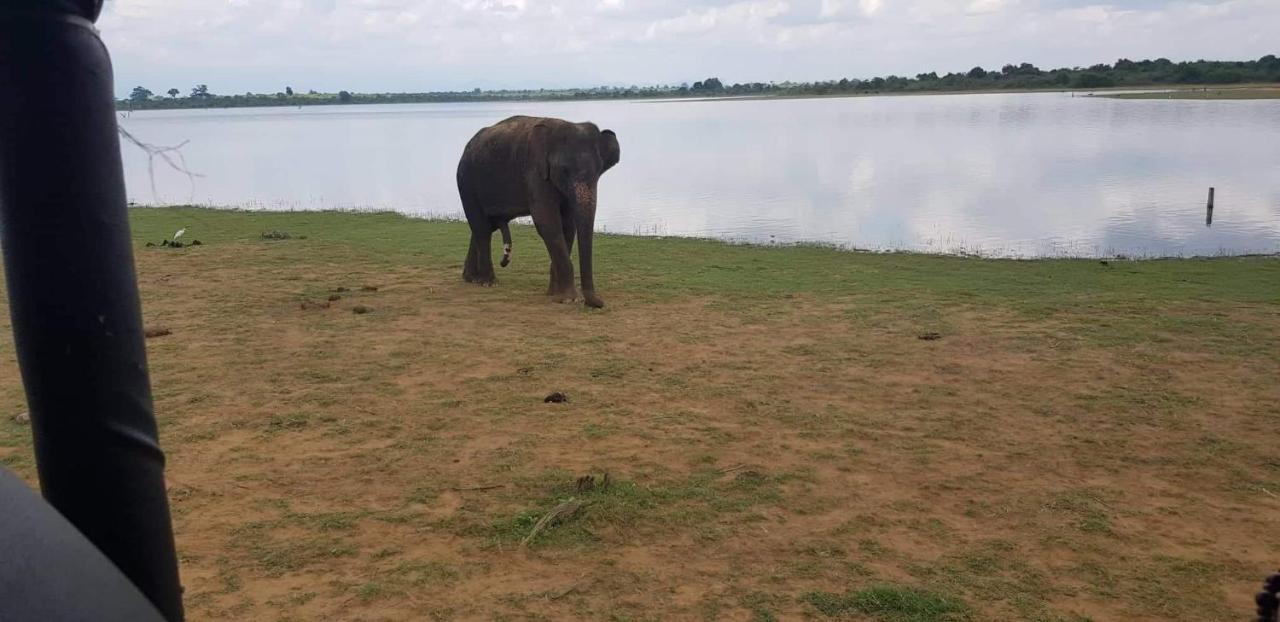 Elephant Paradise Safari Bungalow Удавалаве Экстерьер фото